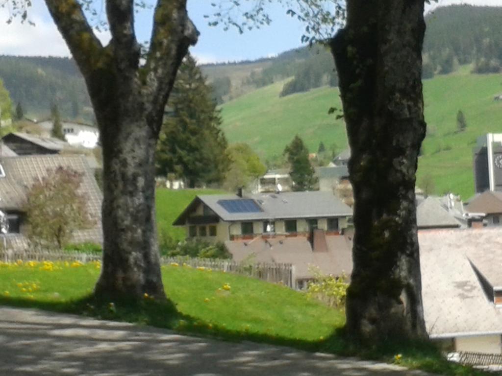 Hotel Sternen - Anno 1769 Todtnauberg Rom bilde